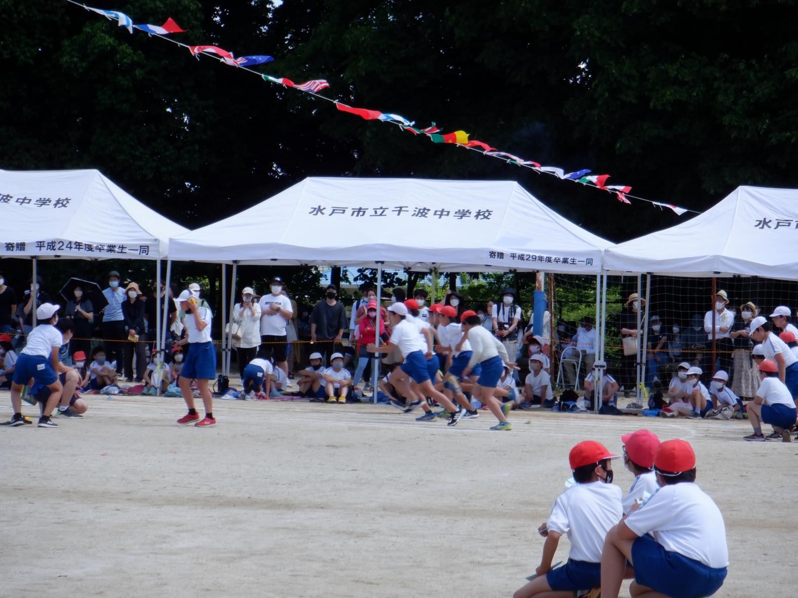 DSCF0607