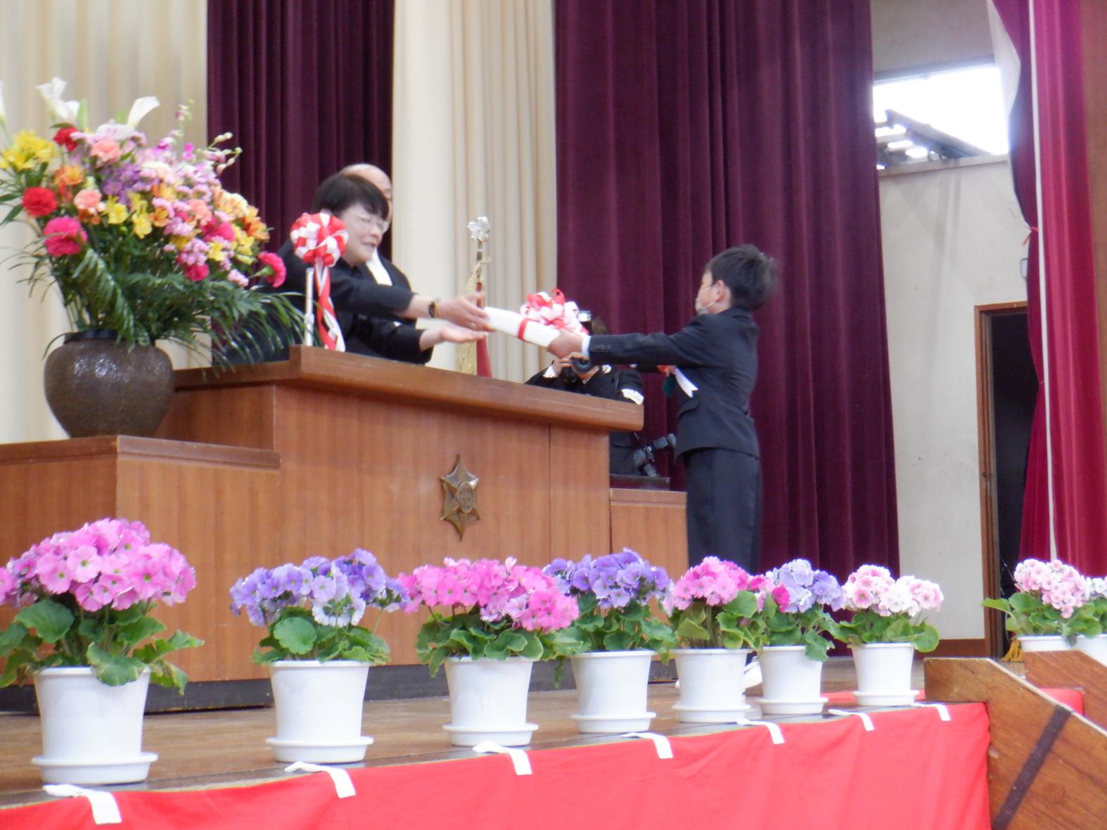 DSCF3830 DSCF3830