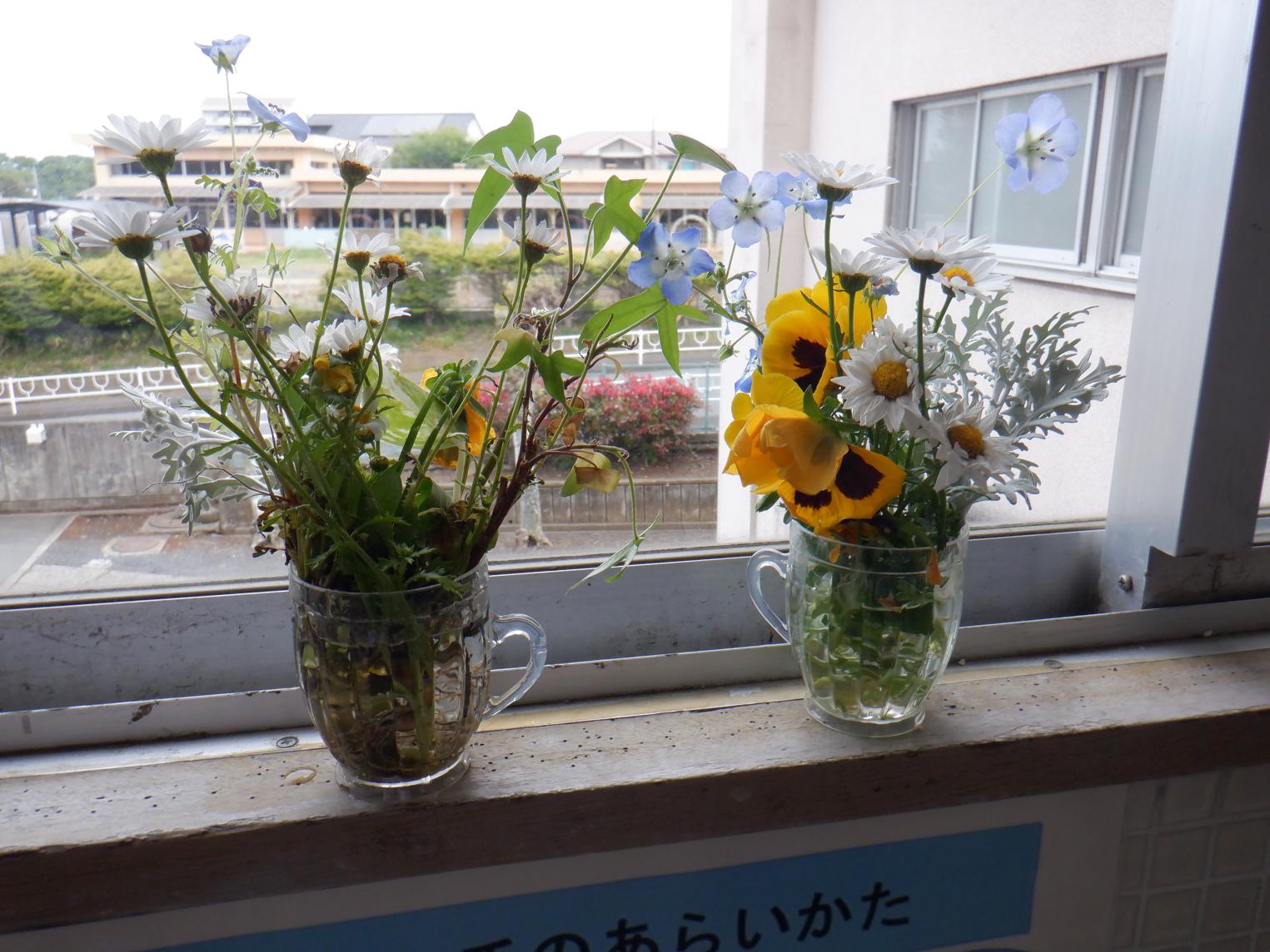 DSCF3929 DSCF3929