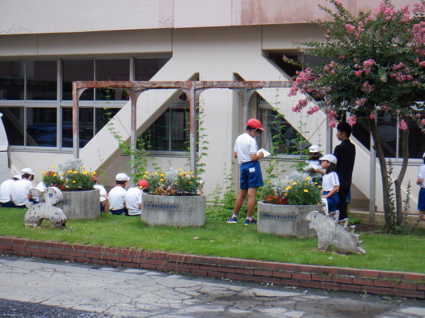 DSCF4654 DSCF4654
