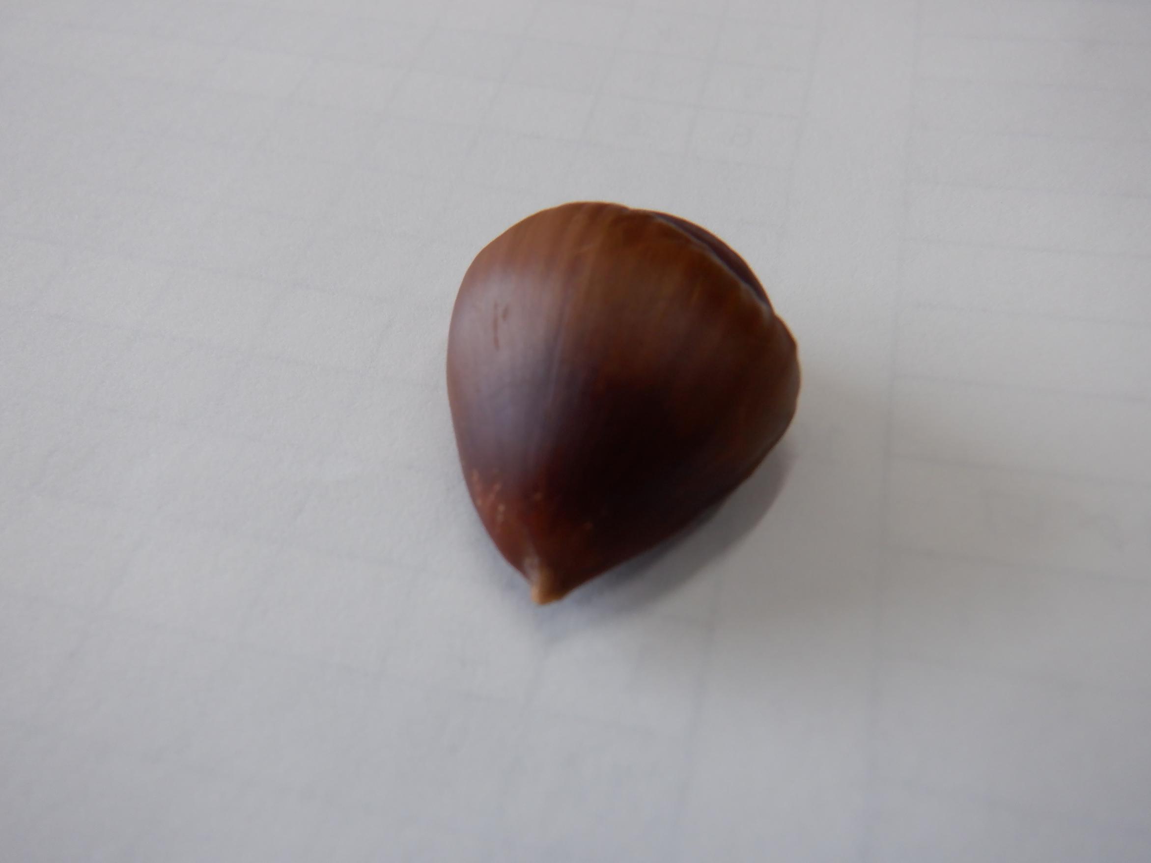 DSCF4935