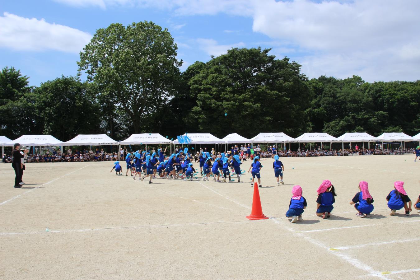 チェッコリ チェッコリ