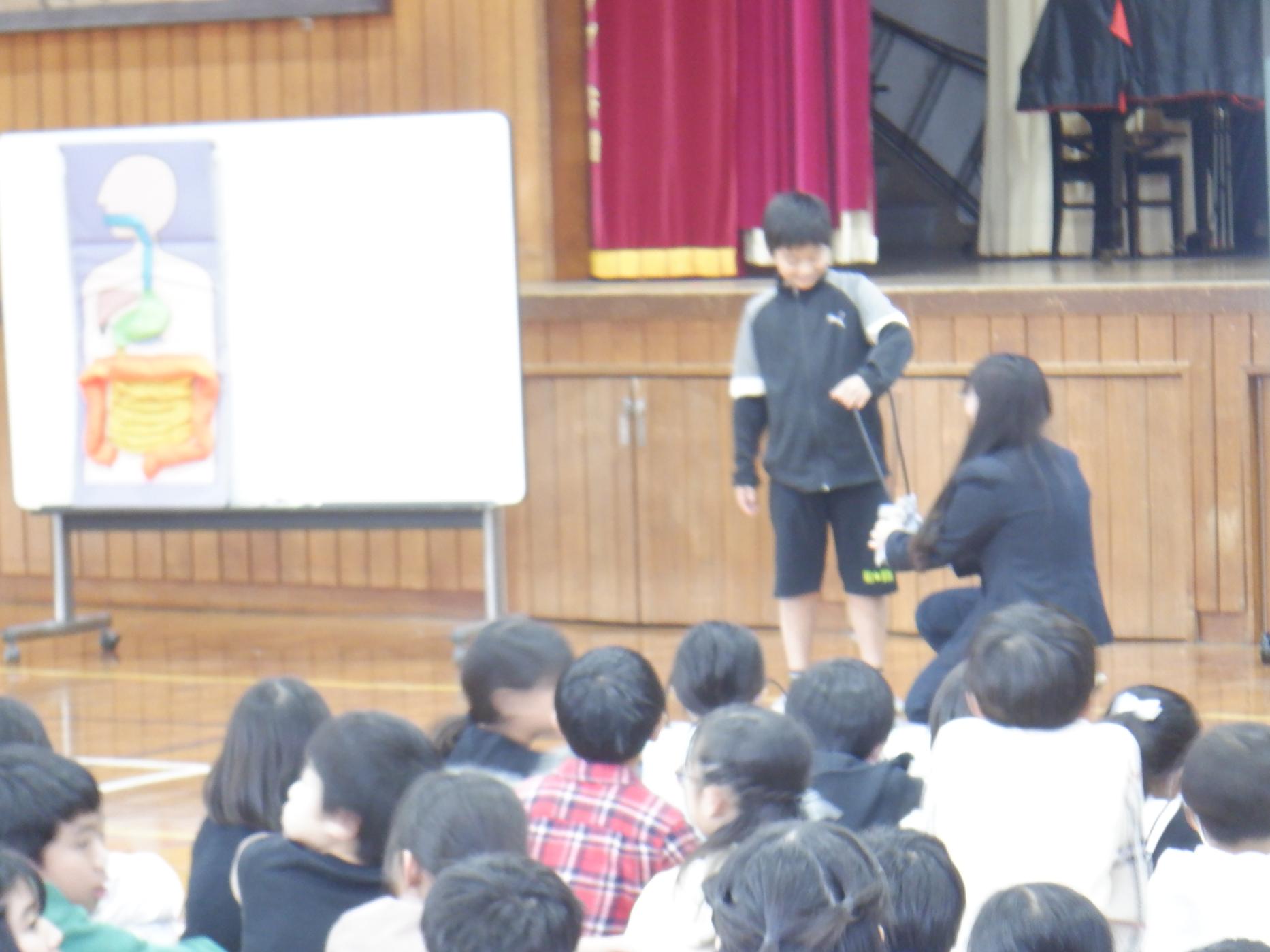 DSCF8148 DSCF8148