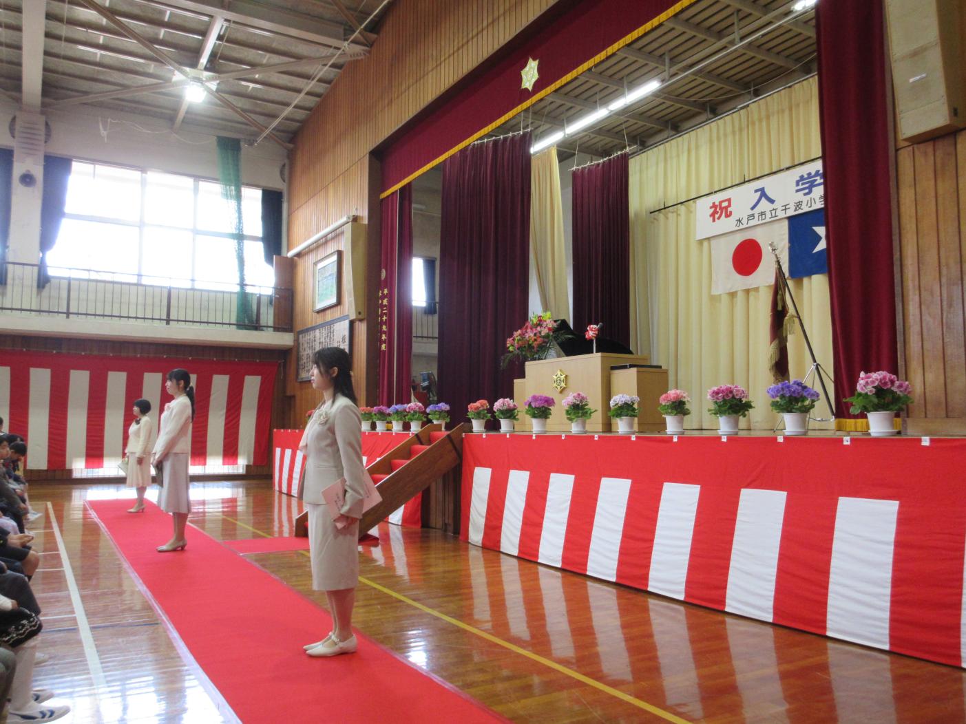 IMG_0517 IMG_0517