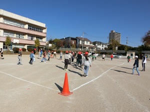 CIMG9559 CIMG9559