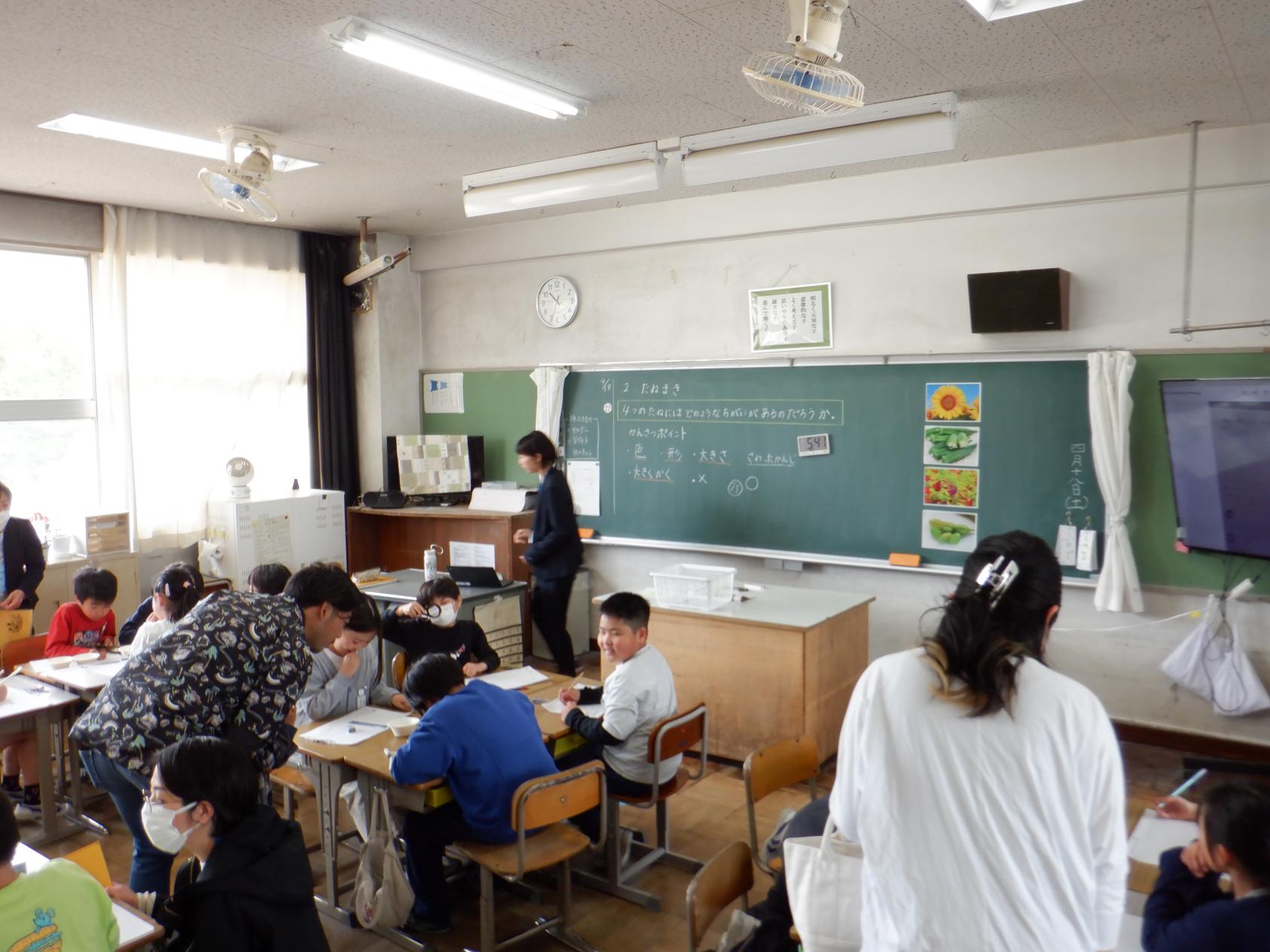 DSCF6080 DSCF6080