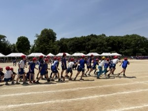 IMG_8066 IMG_8066