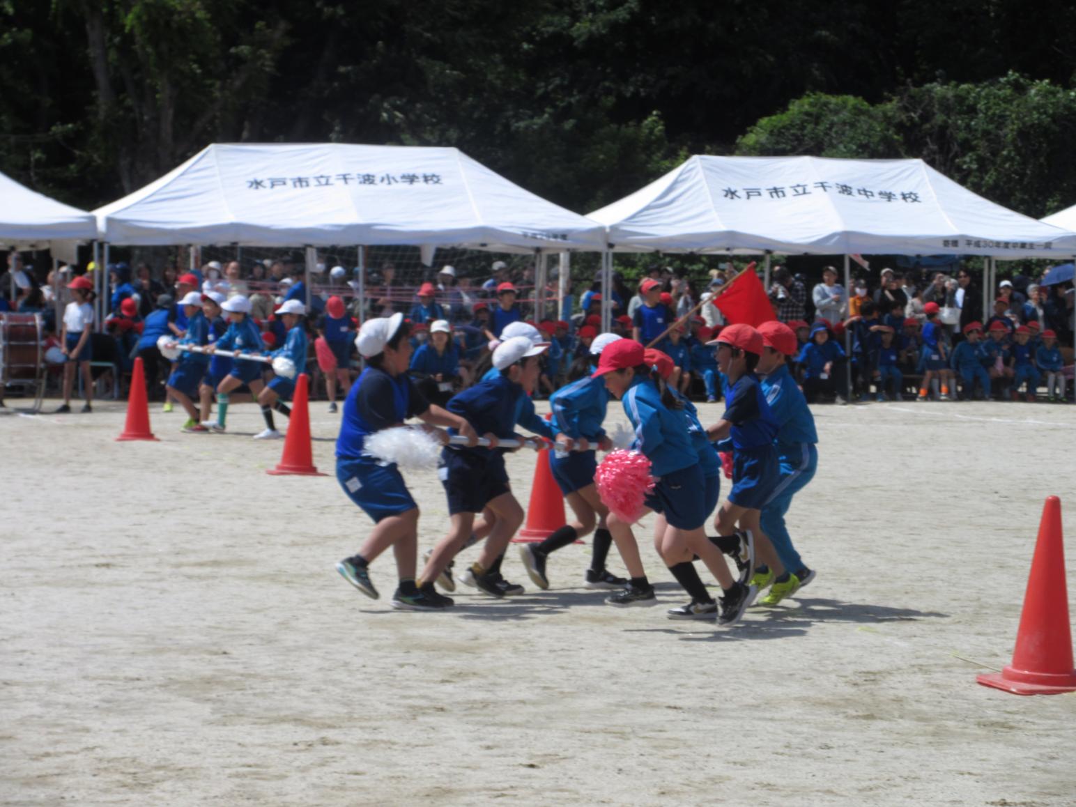 IMG_4230 IMG_4230