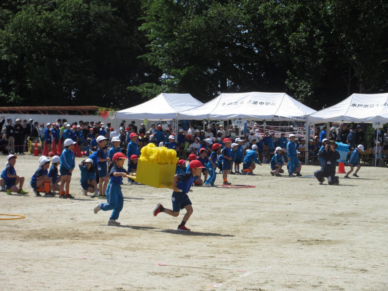 IMG_4220 IMG_4220