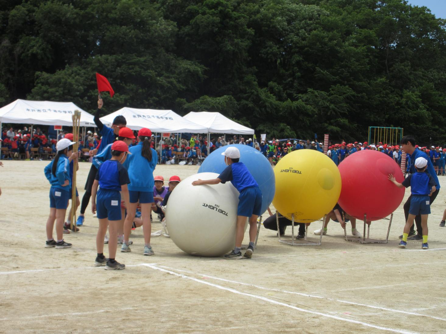 IMG_4263 IMG_4263