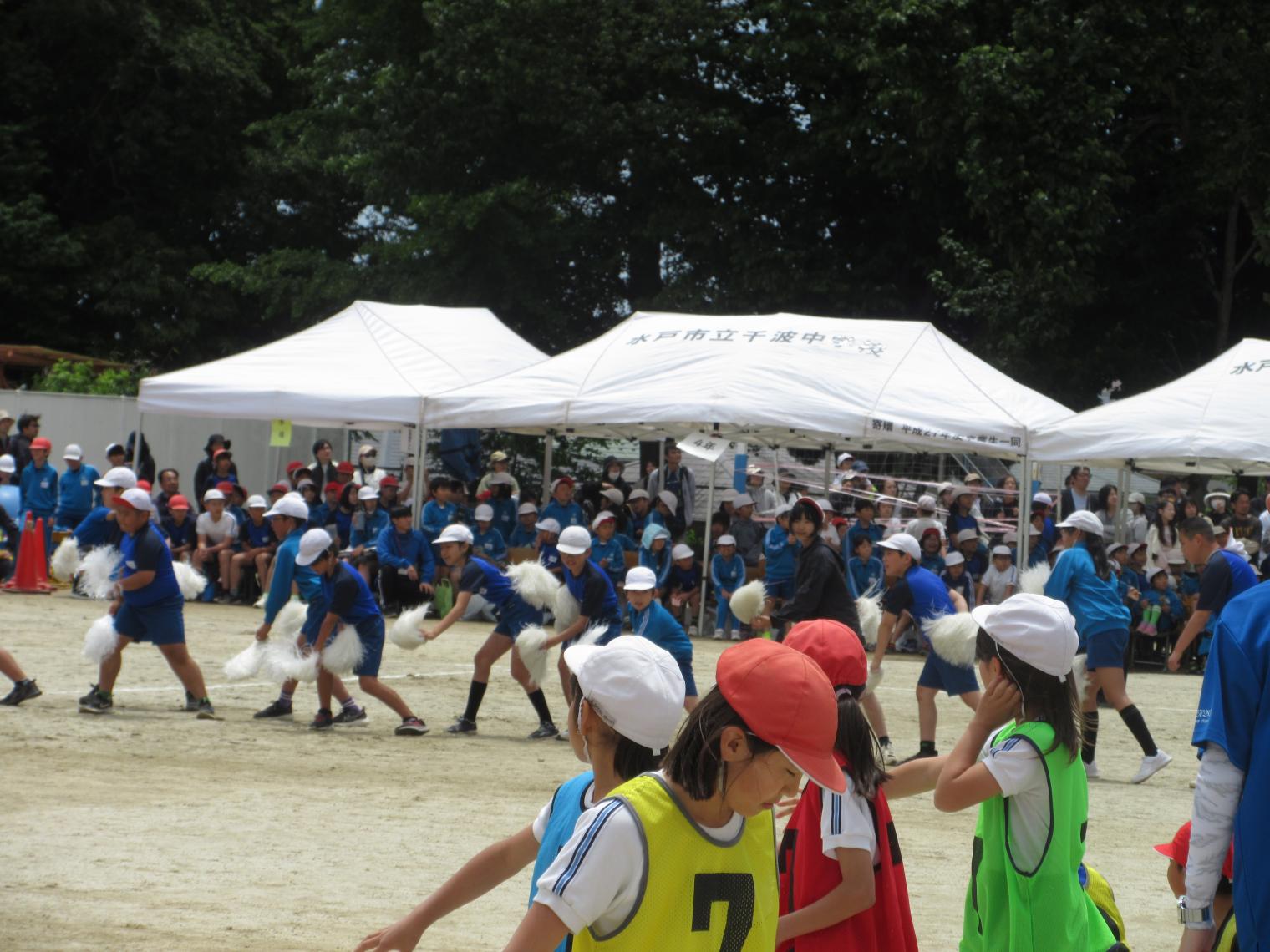 IMG_4277 IMG_4277