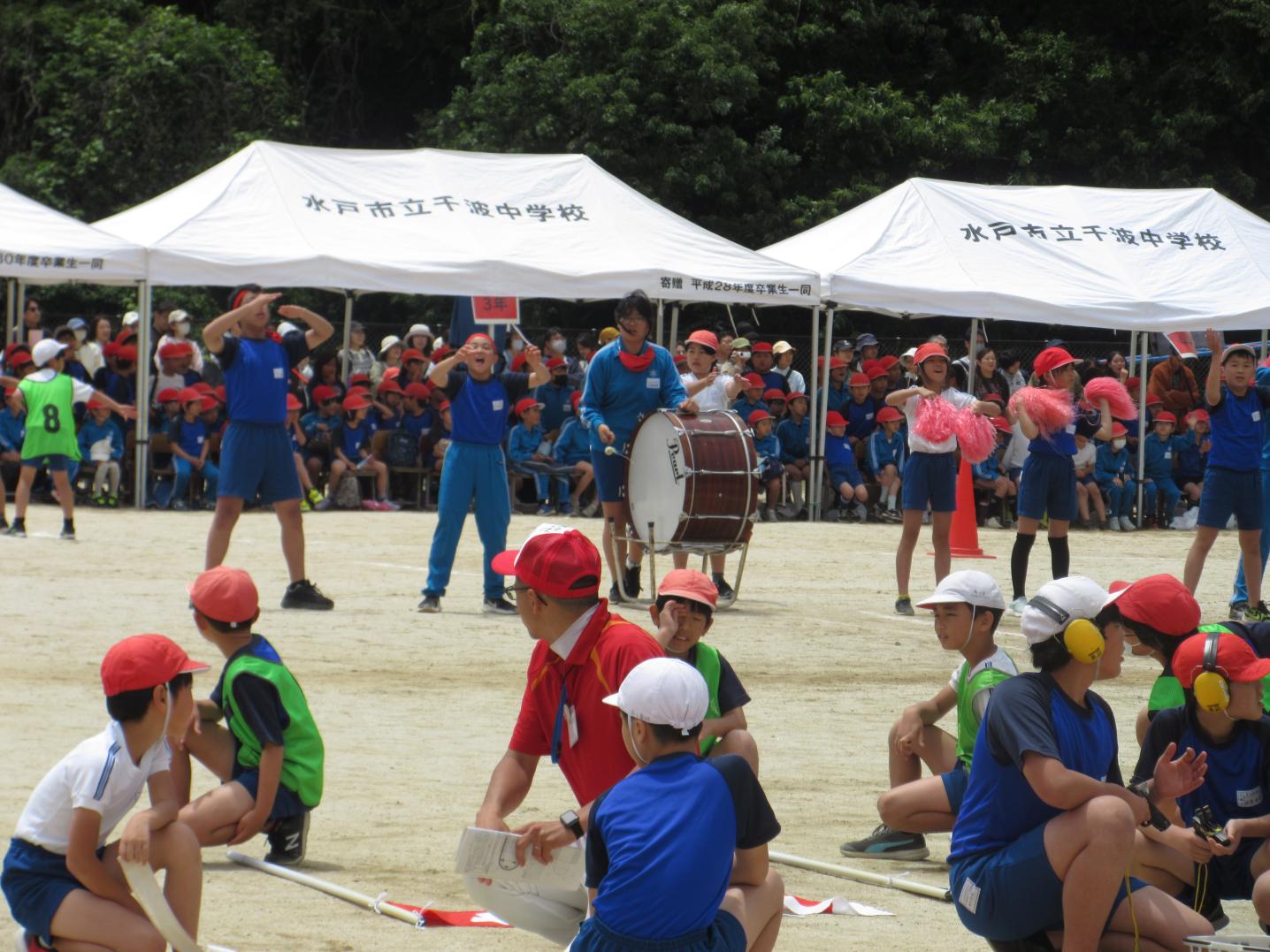 IMG_4278 IMG_4278