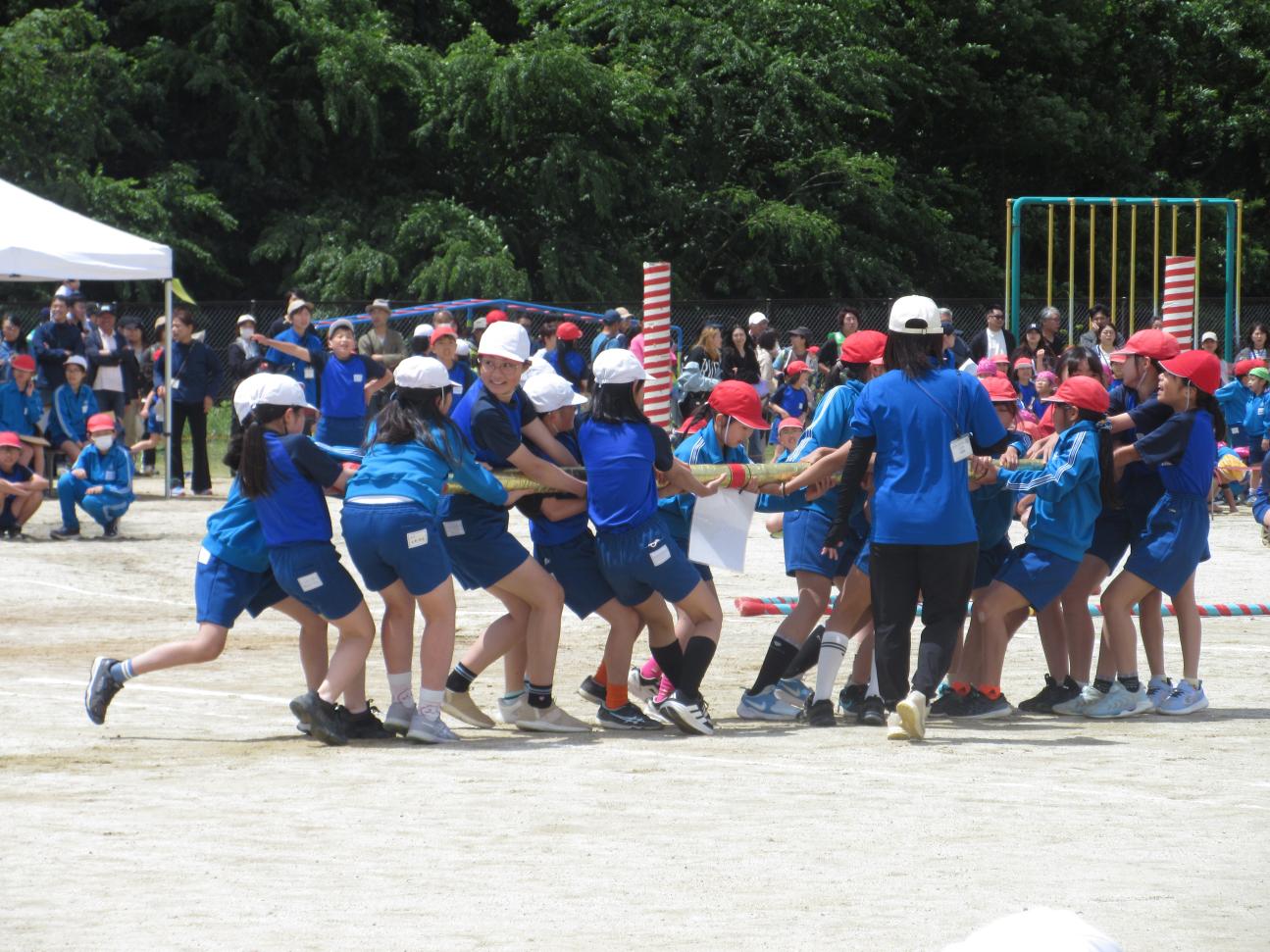 IMG_4250 IMG_4250