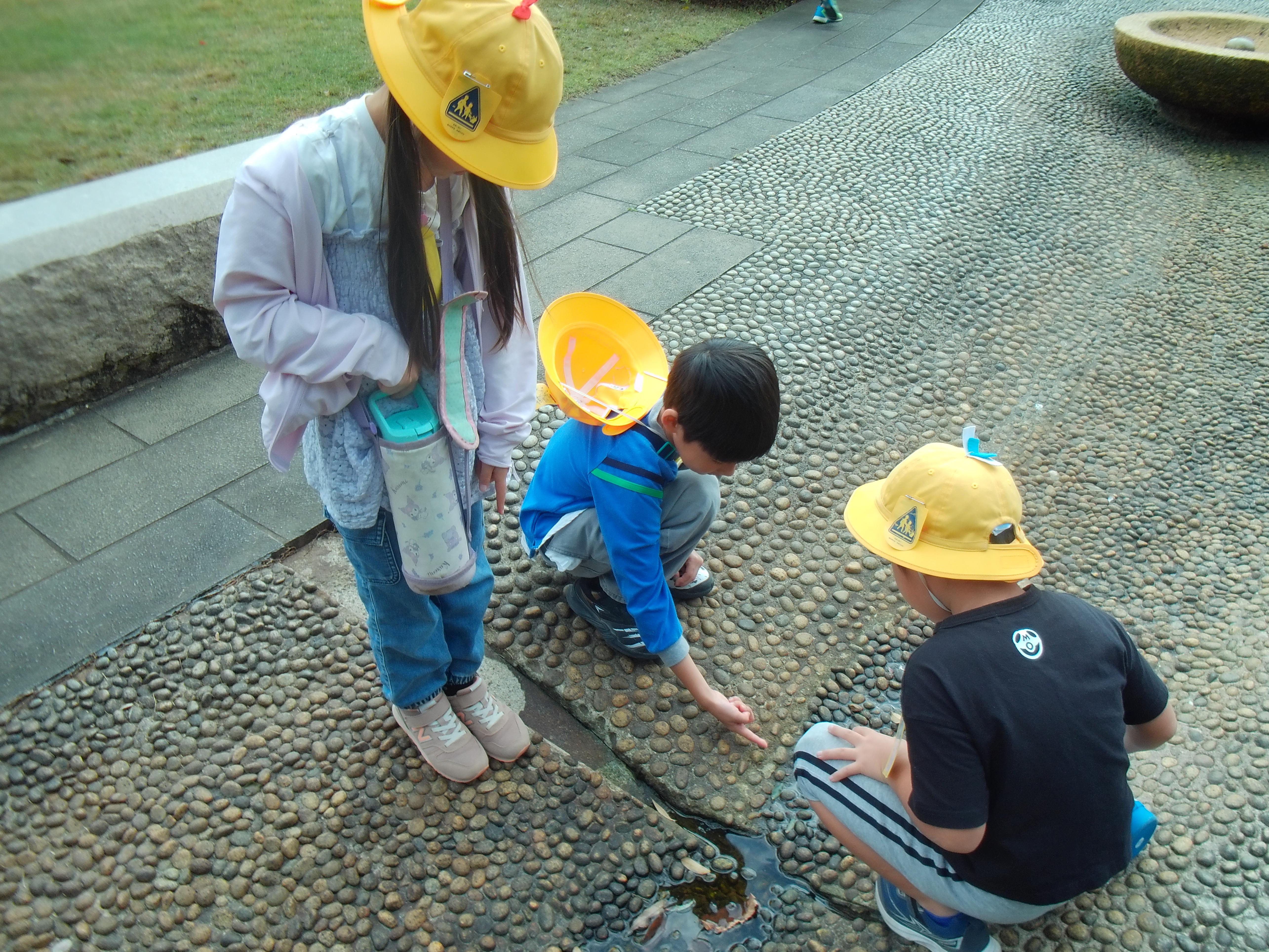 DSCF0415