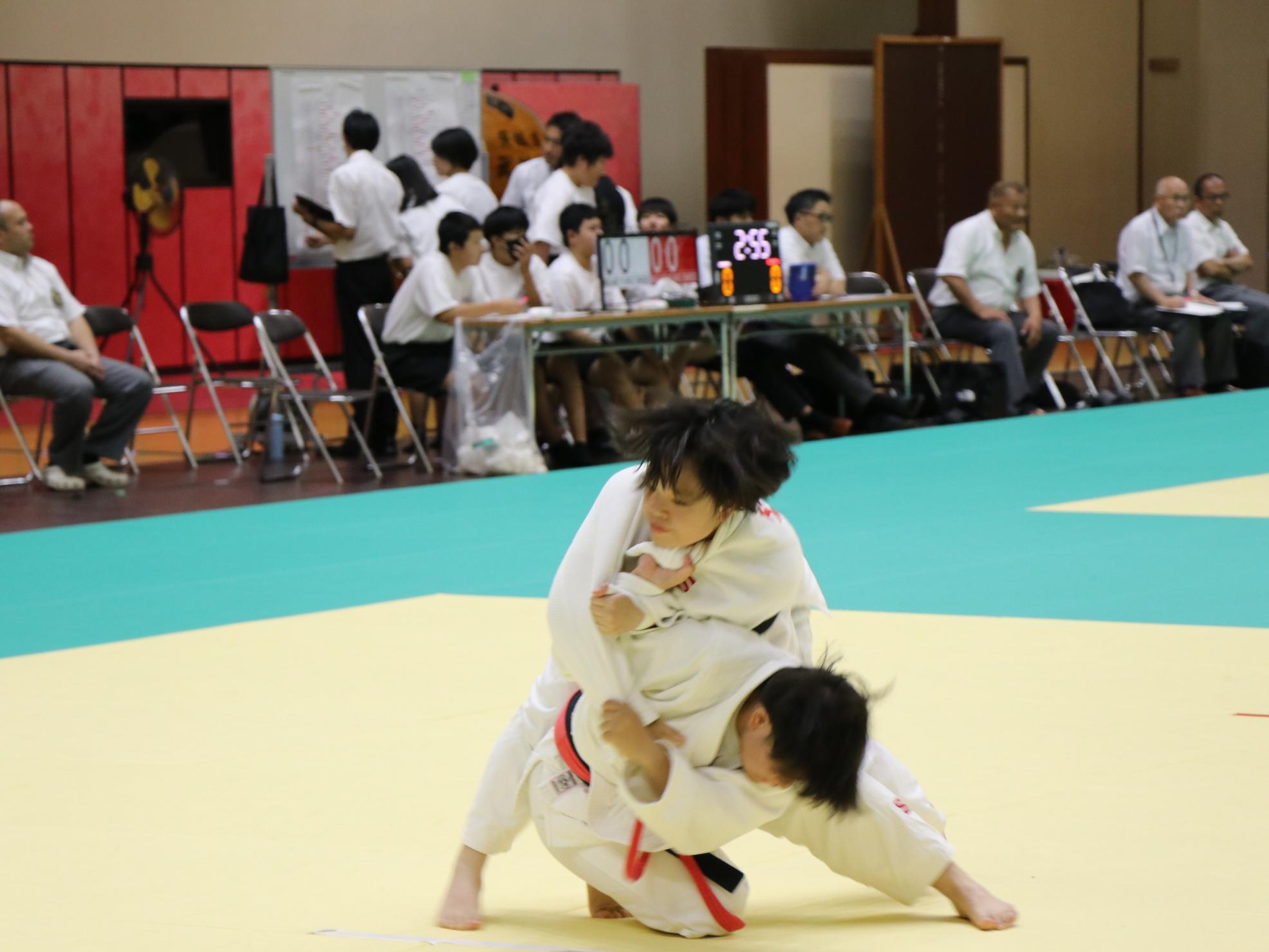 IMG_7717 IMG_7717