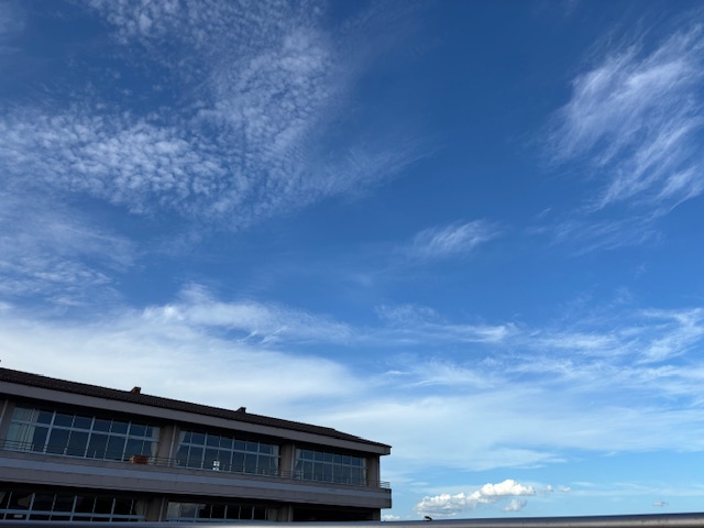 IMG_4683 IMG_4683