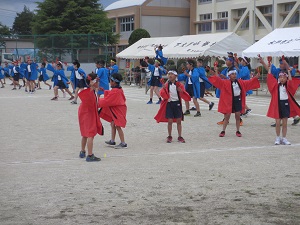 IMG_3630 IMG_3630