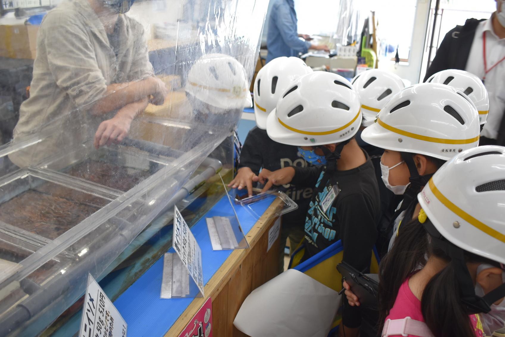 DSC_0595 DSC_0595