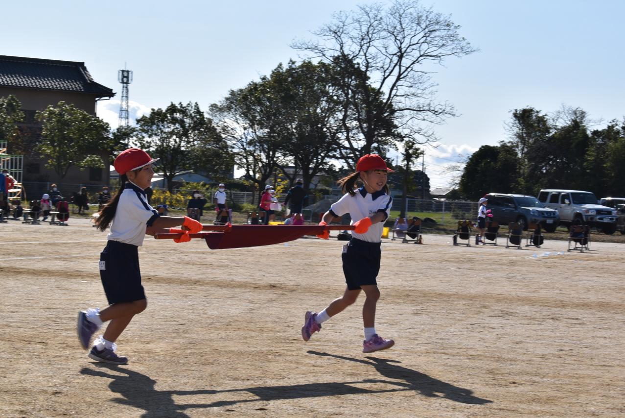 DSC_0798 DSC_0798