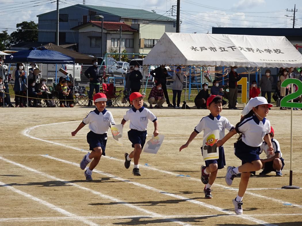 DSC02463 DSC02463