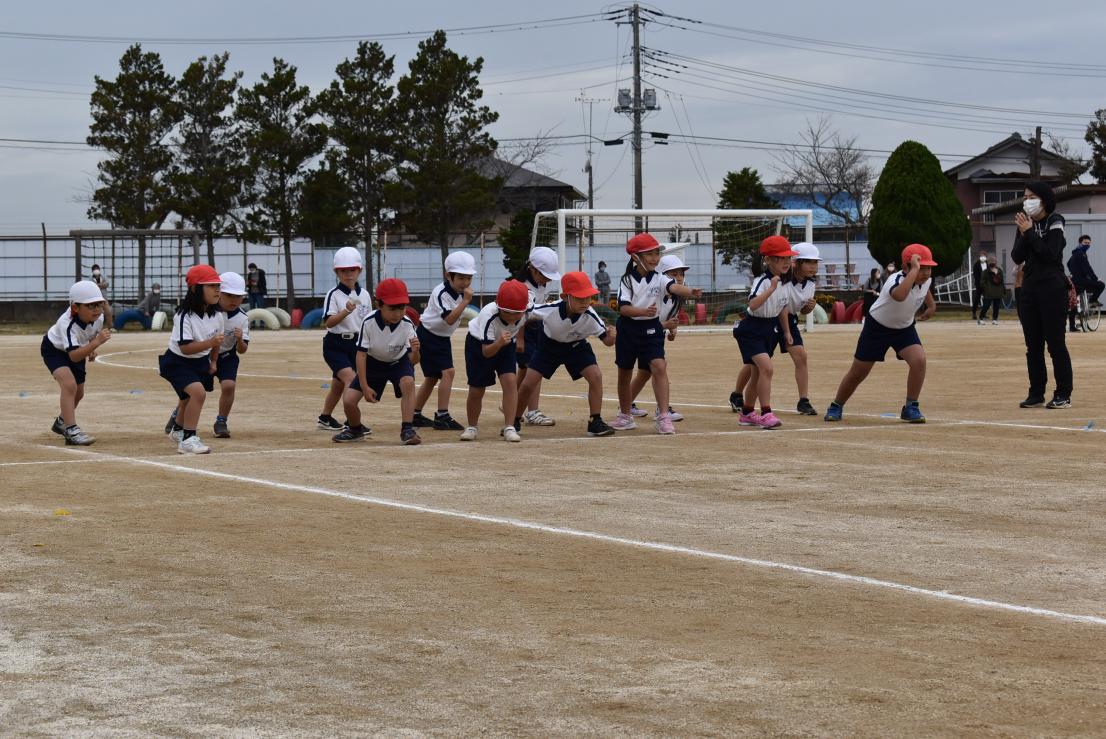 DSC_0195 DSC_0195