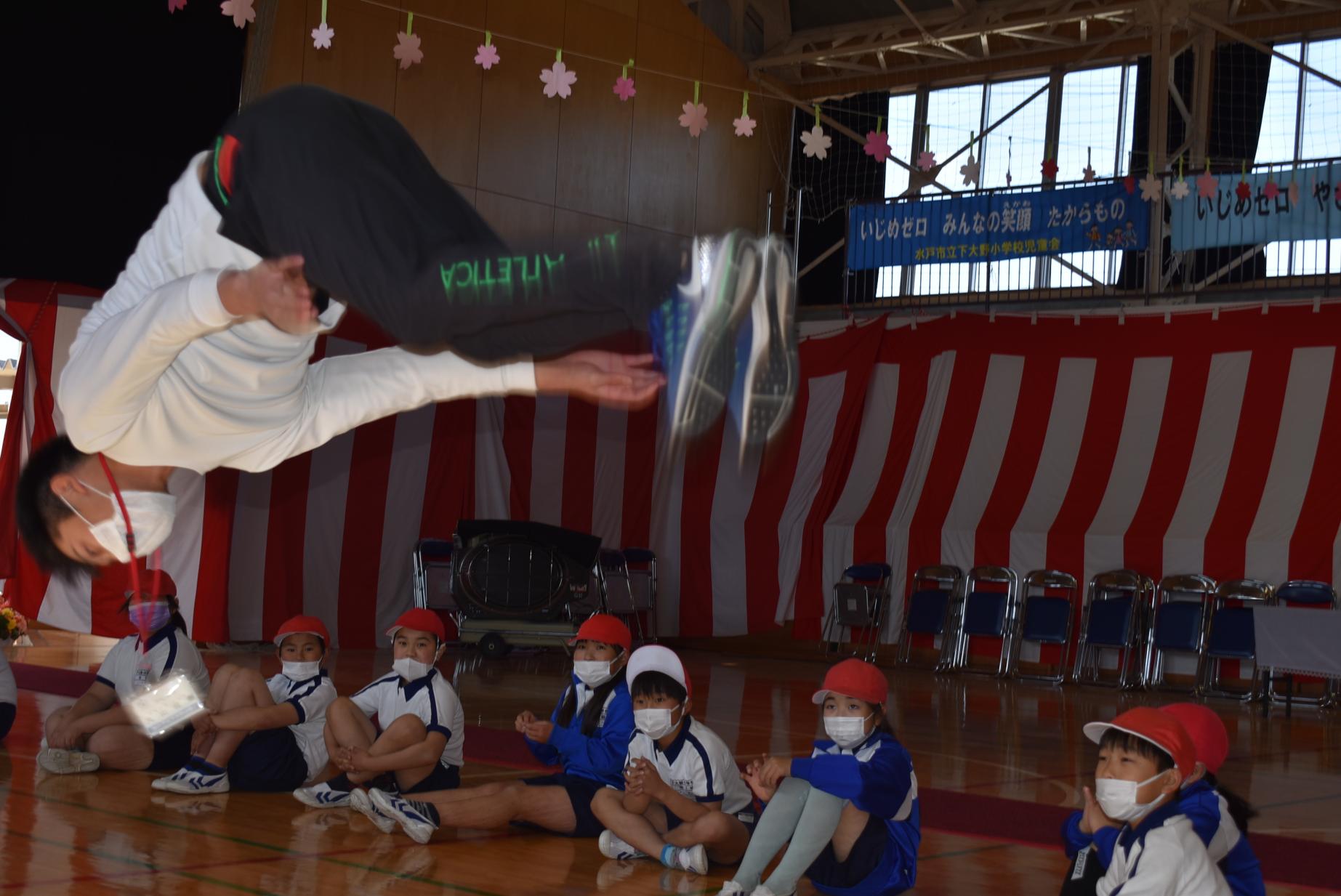 DSC_0390 DSC_0390