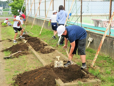 IMG_1987 IMG_1987