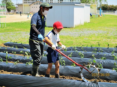 IMG_1612 IMG_1612