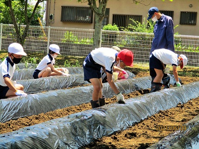IMG_1630 IMG_1630