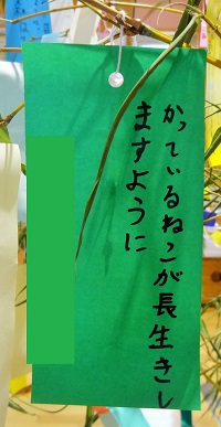 DSC04152 DSC04152
