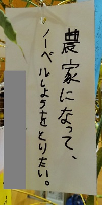 DSC04157 DSC04157