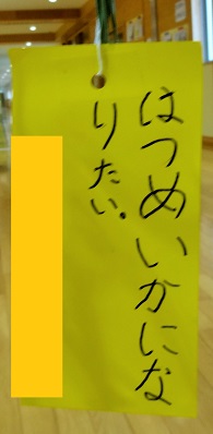 DSC04159 DSC04159