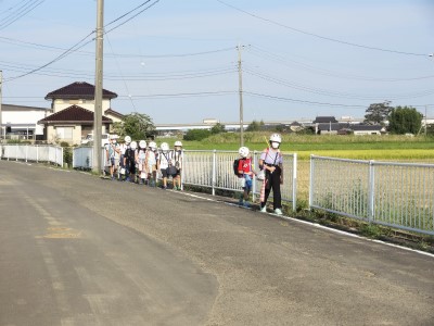 DSC05217 DSC05217