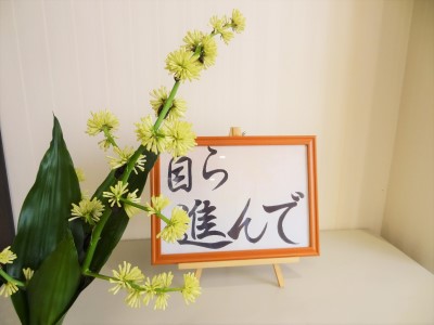 DSC05223 DSC05223