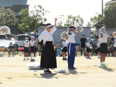 IMG_0682 IMG_0682