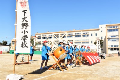 DSC_0533 DSC_0533