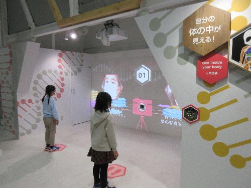 体の中 体の中