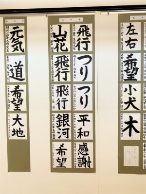 IMG_6860 IMG_6860