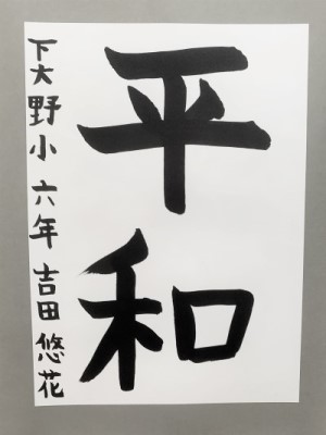 IMG_6859 IMG_6859