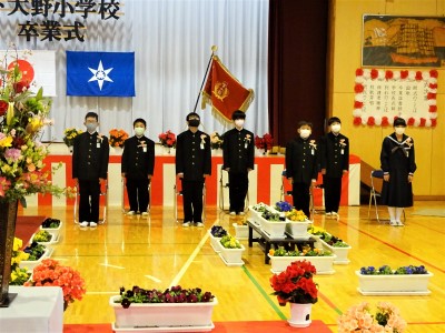 DSC04495 DSC04495