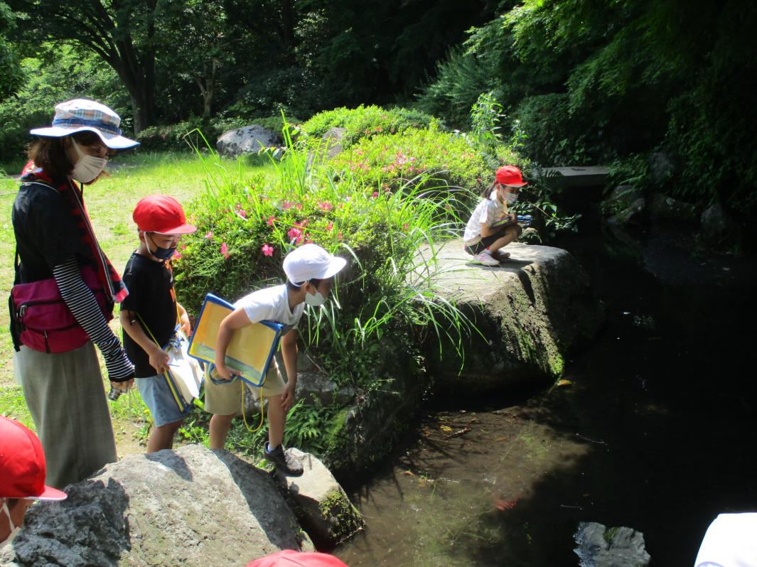 1年公園探検 (5) 1年公園探検 (5)