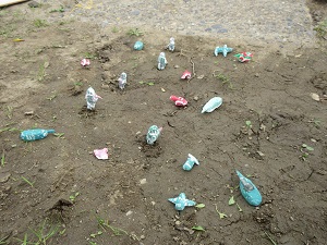 IMG_3060 IMG_3060