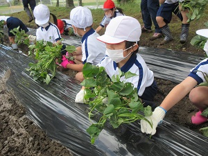 IMG_3085 IMG_3085
