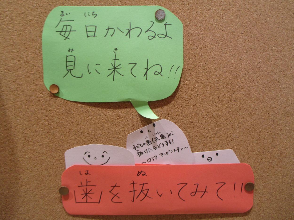 養教実習 (2) 養教実習 (2)