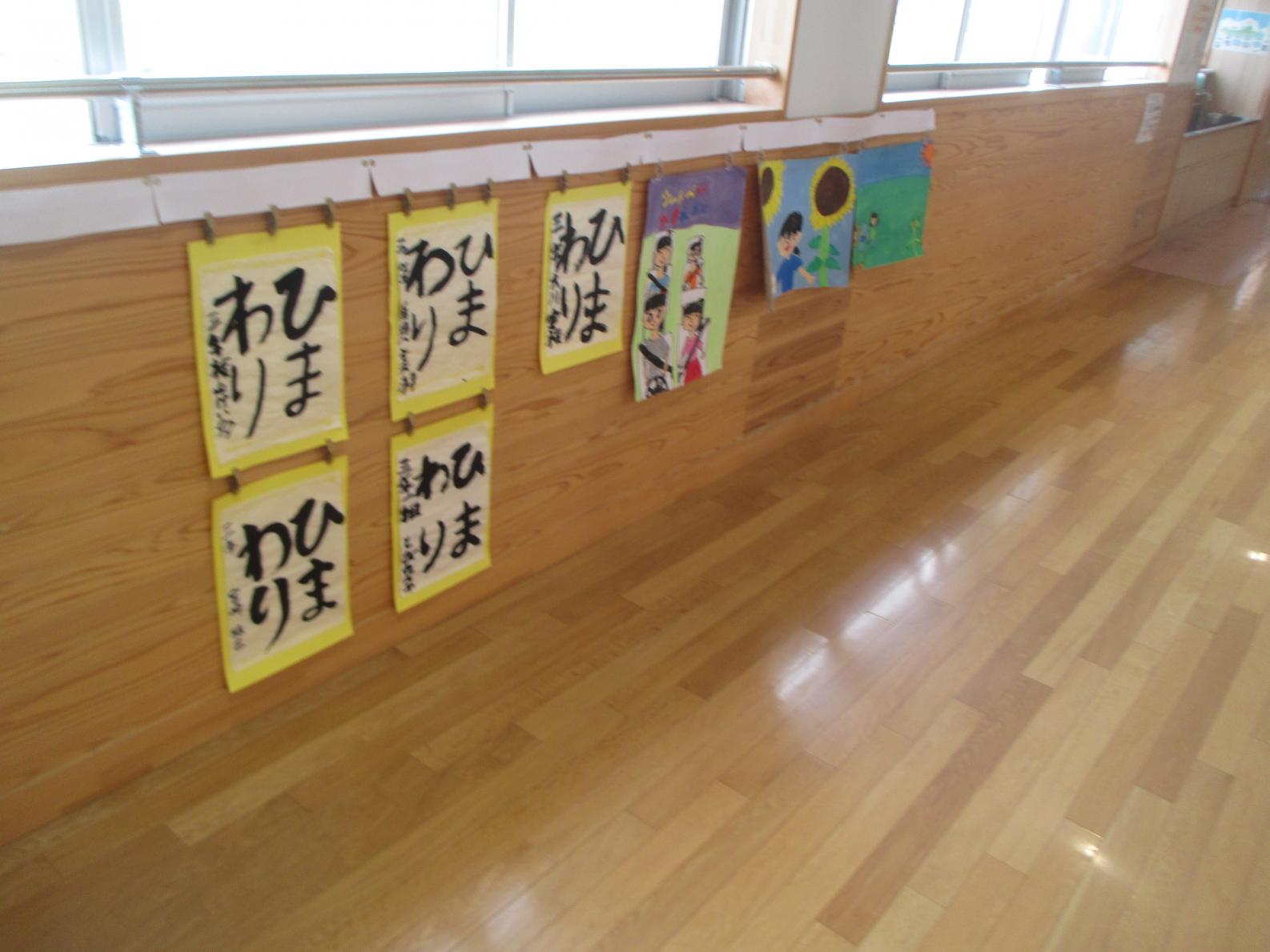 IMG_4981 IMG_4981