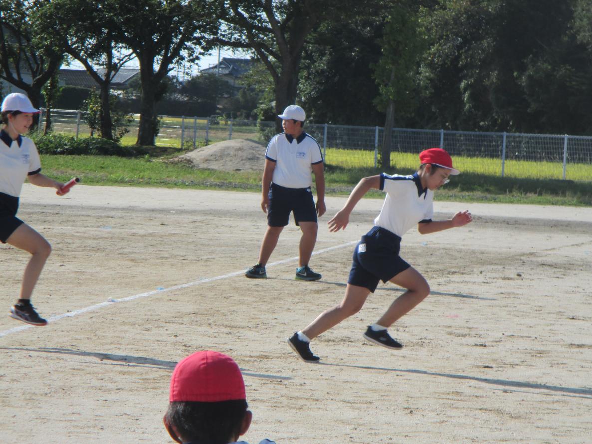 IMG_5137 IMG_5137
