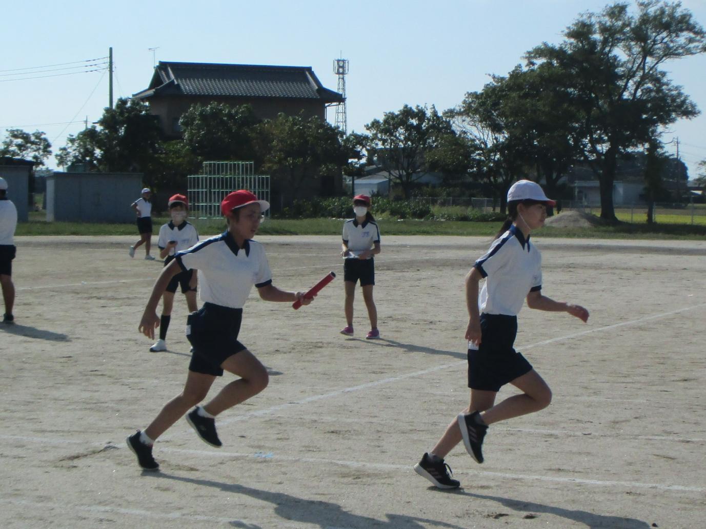 IMG_5145 IMG_5145