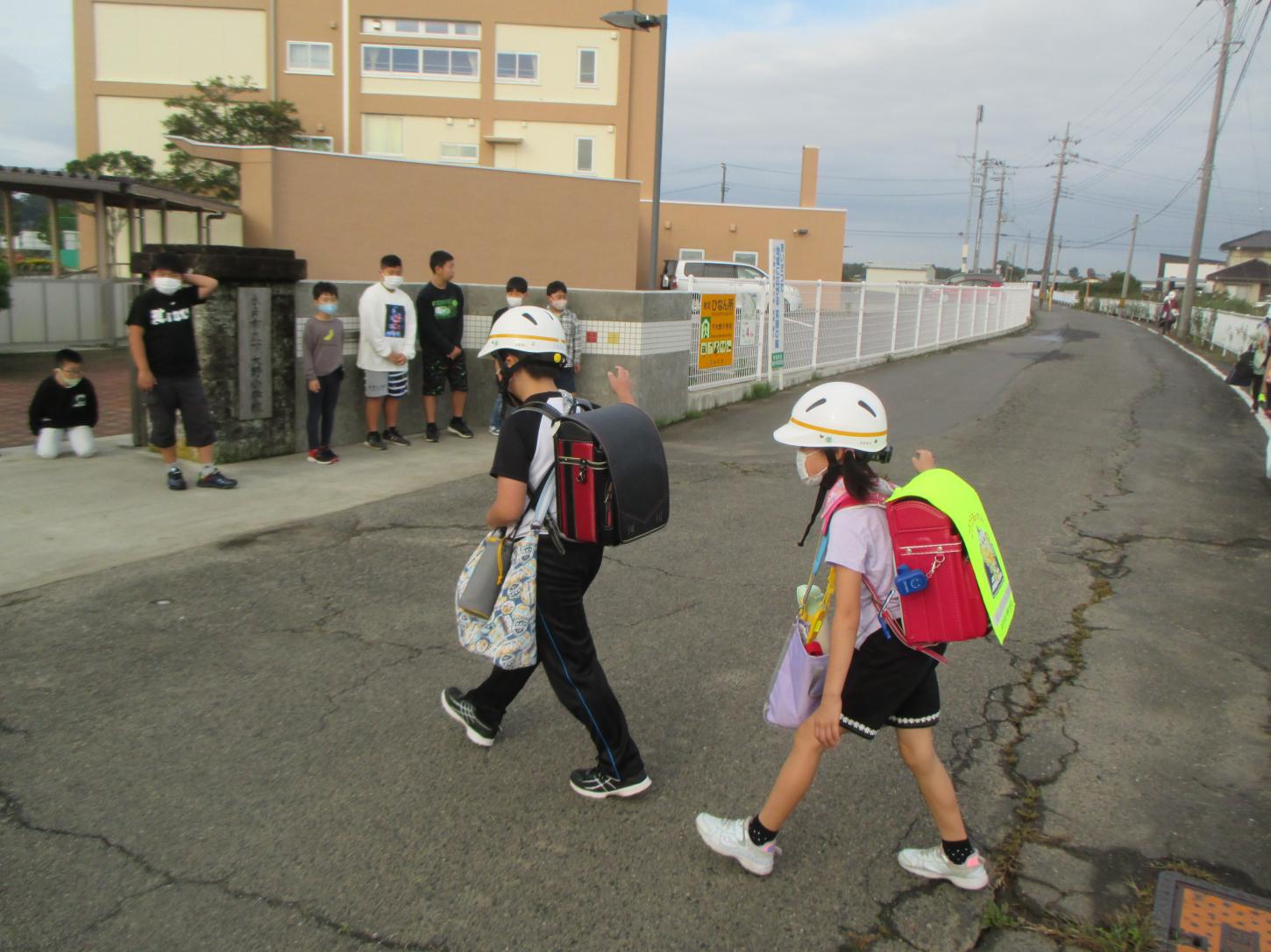 IMG_5194 IMG_5194
