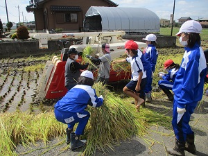 IMG_3183 IMG_3183