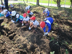 IMG_3270 IMG_3270